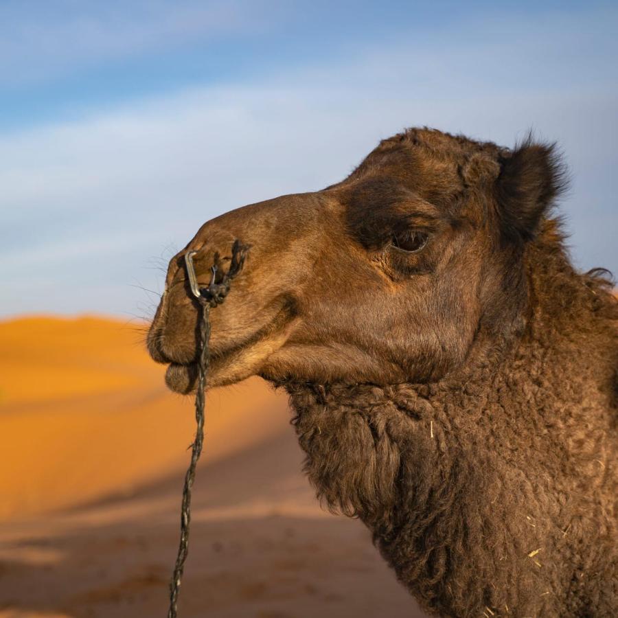 Authentic Desert Luxury Camp Merzouga Bagian luar foto
